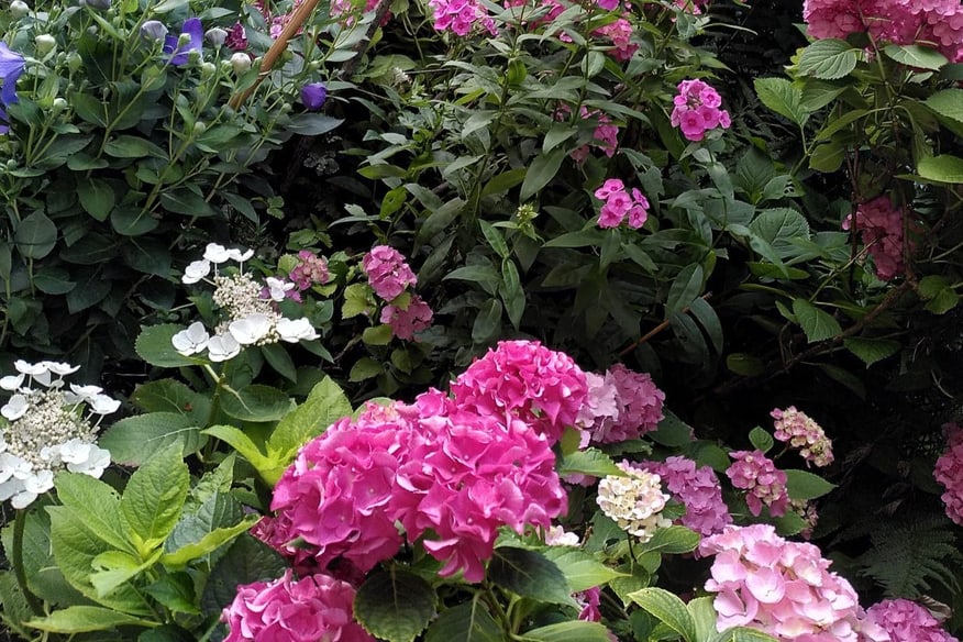 Blumen