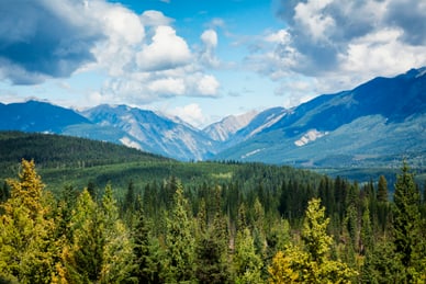 Neuanfang in Kanada